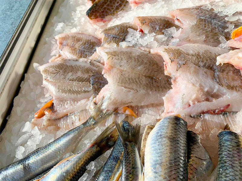 Direktverkauf von Fisch am Hafen