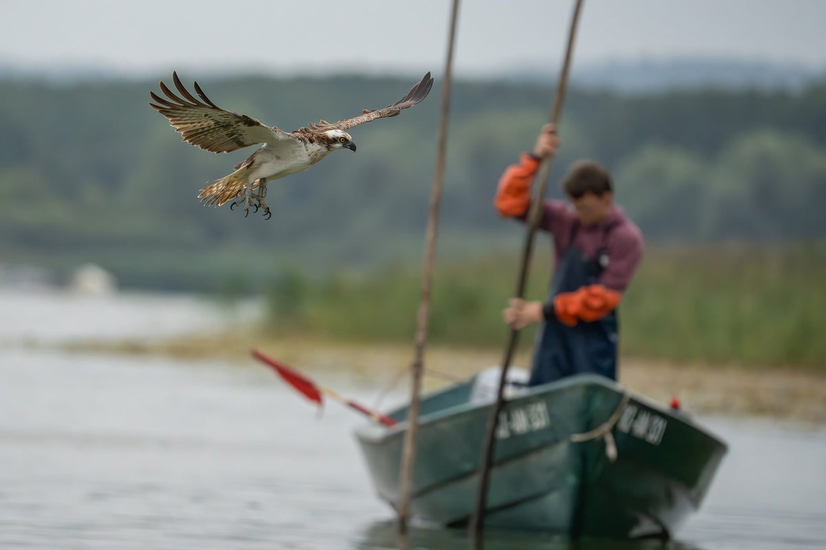 Seenfischerei Dahmen
