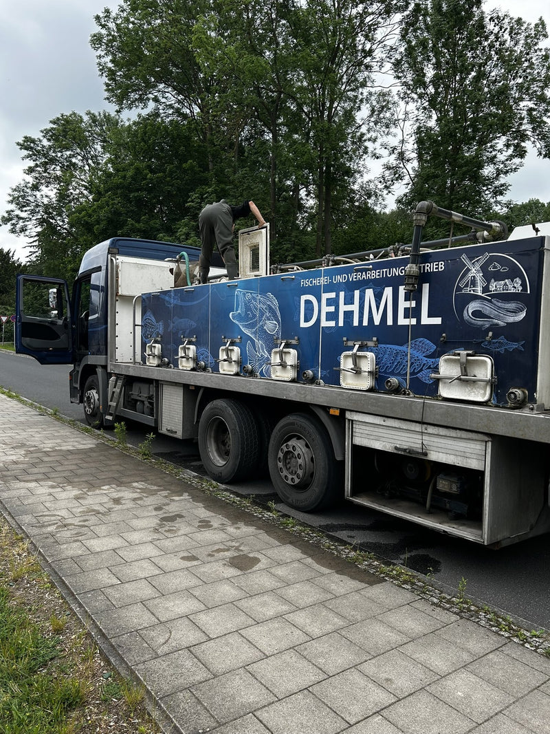 Fischerei u. Verarbeitungsbetrieb Dehmel