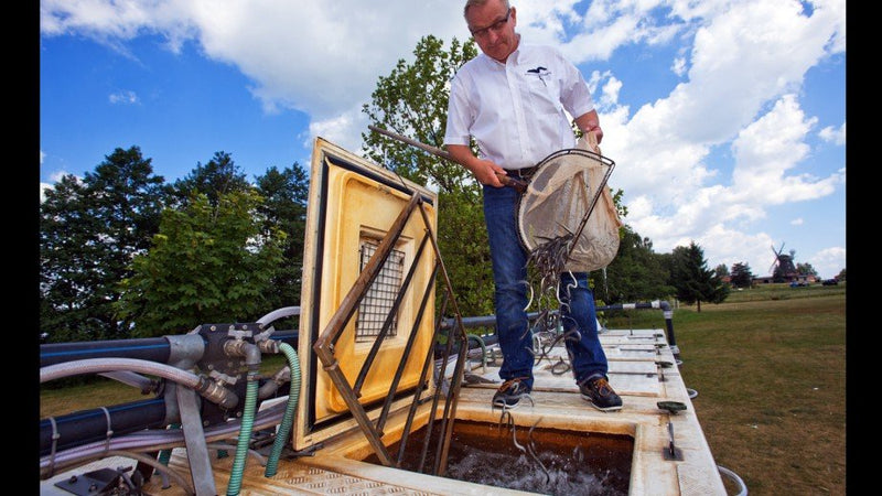 Fischerei u. Verarbeitungsbetrieb Dehmel