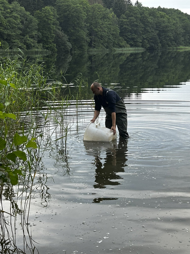 Fischerei u. Verarbeitungsbetrieb Dehmel