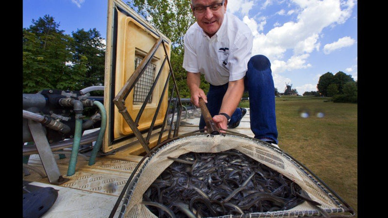 Fischerei u. Verarbeitungsbetrieb Dehmel