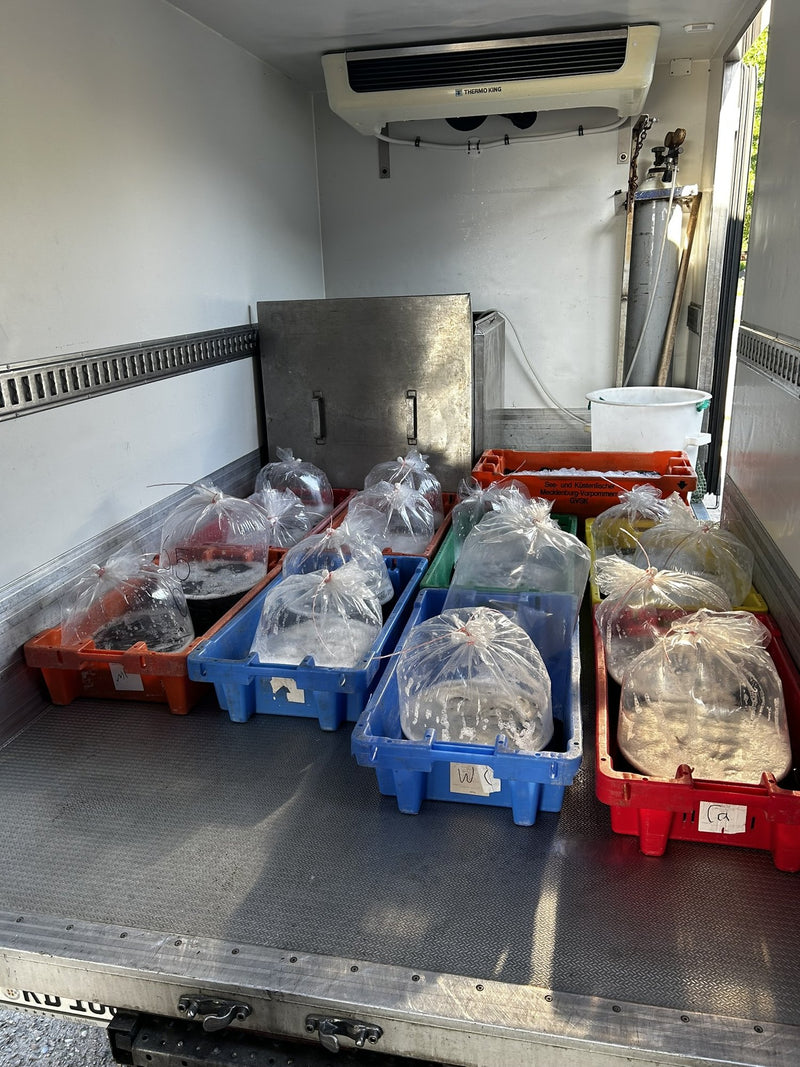 Fischerei u. Verarbeitungsbetrieb Dehmel