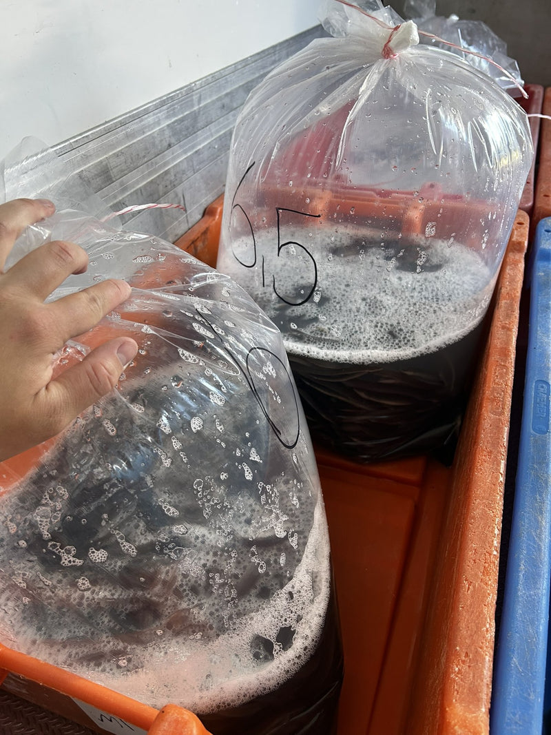 Fischerei u. Verarbeitungsbetrieb Dehmel