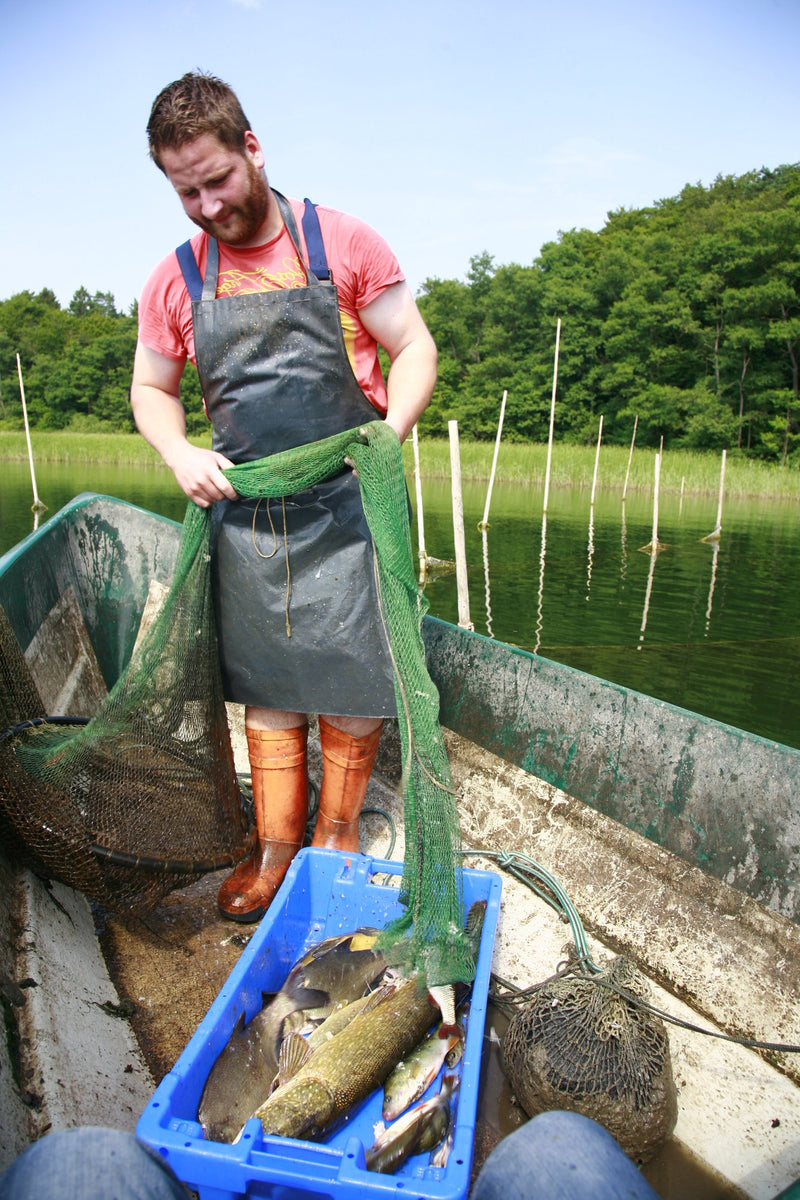 Fischerei Piehl