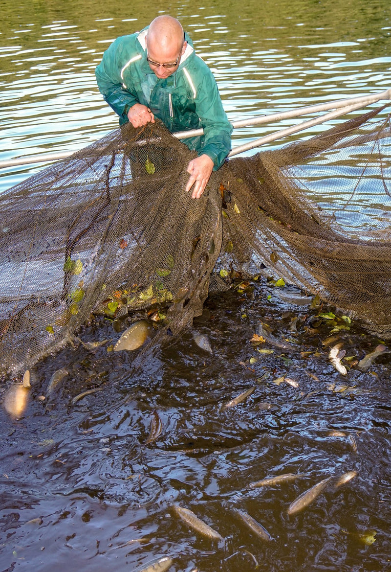 Fischerei Piehl