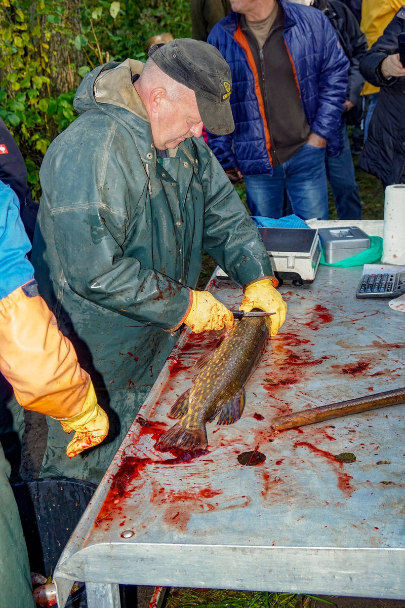 Fischerei Piehl