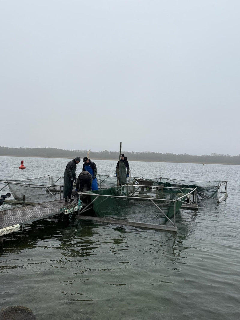 Fischerei/Imbiss Prignitz GbR