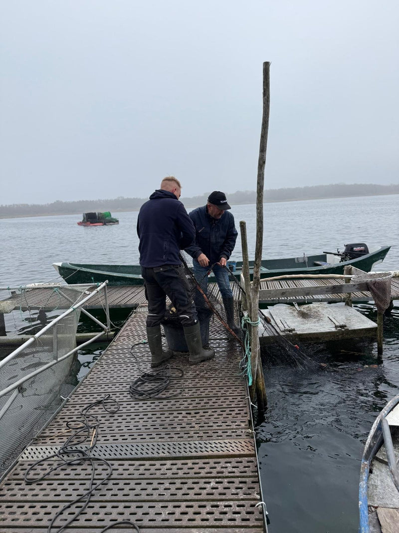 Fischerei/Imbiss Prignitz GbR