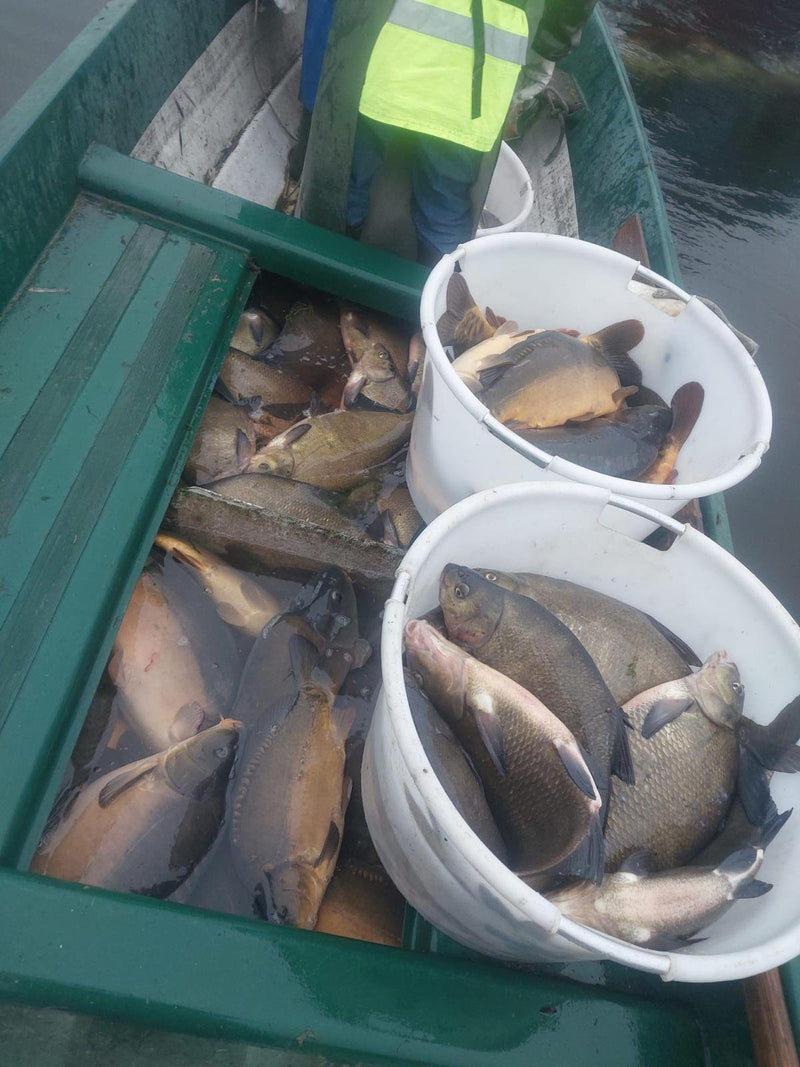 Fischerei/Imbiss Prignitz GbR